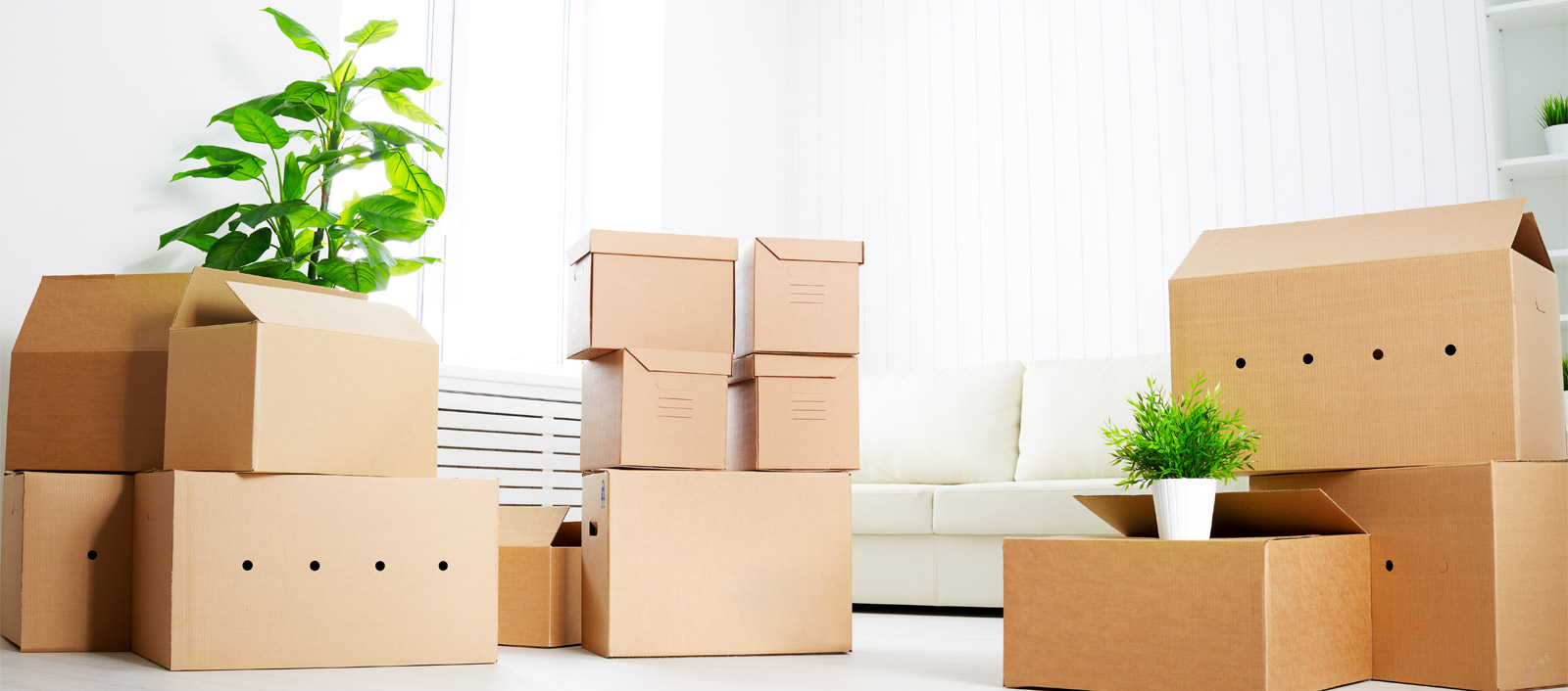 loading and unloading services in Guntur